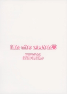 (Reitaisai 12) [Akikaze Asparagus (Aki)] Kite Mite Sawatte (Touhou Project) - page 30