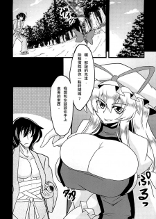(C81) [Forever and ever... (Eisen)] Gensou Chinchin Monogatari (Touhou Project) [Chinese] [殭屍漢化] - page 4