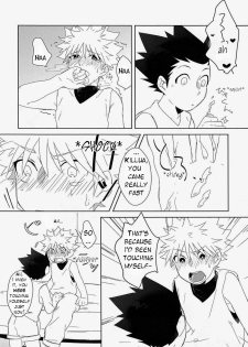 (CLIMAX HUNT 5) [Fukahire (Hekiru)] Rifujin wa Gokigen | Happy Nonsense (Hunter x Hunter) [English] [Willeke4439] - page 10