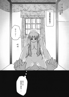 (HaruCC19) [Nonsense (em)] Alternative Gray (Fate/stay night, Fate/hollow ataraxia) [Chinese] - page 27