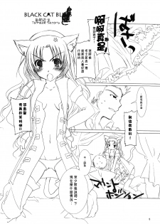 (C70) [Chicken Chicken Machine (Tanabe Satoru)] Mahoshiki (Fate/stay night) [Chinese] - page 4
