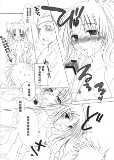 (C70) [Chicken Chicken Machine (Tanabe Satoru)] Mahoshiki (Fate/stay night) [Chinese] - page 8