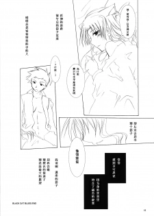 (C70) [Chicken Chicken Machine (Tanabe Satoru)] Mahoshiki (Fate/stay night) [Chinese] - page 14
