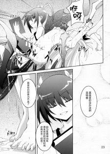 (C79) [Yoru no Benkyoukai (Fumihiro)] NF-04 (Mahou Shoujo Lyrical Nanoha) [Chinese] [无毒汉化组] - page 22