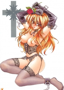 [Amaori Tatsuki] Pretty Cat's Show Time [Chinese] - page 29