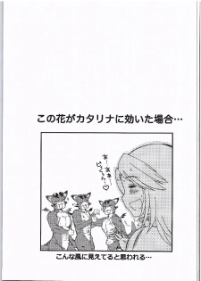 (SC2016 Winter) [HIGH RISK REVOLUTION (Aizawa Hiroshi)] Manatsu no Yoru no Akumu (Granblue Fantasy) - page 30