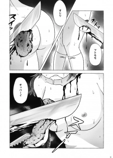 (Ryonaket 5) [Haka no Shita ni Iru (Ujiro)] Souda, Churrasco Tabeyou. (Touhou Project) - page 11