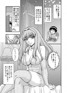 [Complete Box (Ayakawa Hisashi)] Sheryl-san niwa Mukanai Shokugyou - An Unsuitable Job for Sheryl (Macross Frontier) [Digital] - page 3