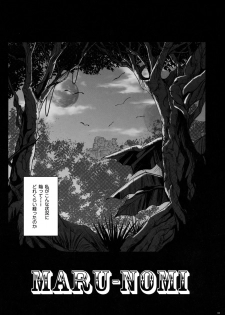 (C88) [Cyclone (Izumi, Reizei)] Rakugaki Chooo MARUNOMI (Mahou Shoujo Lyrical Nanoha) - page 2