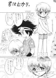 (C58) [Hitosuji Nawa (Ryo Kumagaya)] Hikarin (Digimon) - page 5