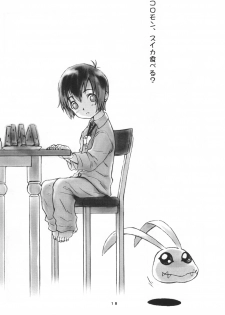 (C58) [Hitosuji Nawa (Ryo Kumagaya)] Hikarin (Digimon) - page 18