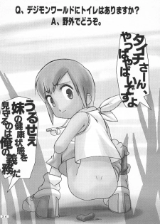 (C58) [Hitosuji Nawa (Ryo Kumagaya)] Hikarin (Digimon) - page 24