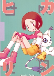 (C58) [Hitosuji Nawa (Ryo Kumagaya)] Hikarin (Digimon) - page 1