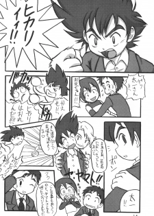 (C58) [Hitosuji Nawa (Ryo Kumagaya)] Hikarin (Digimon) - page 14