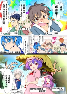 (C80) [Palm Sunday (Leli)] Touhou Kinoko-jiru ~ Cirno no Kosodate Funtouki!? ~ (Touhou Project) [Chinese] [CE家族社] - page 7