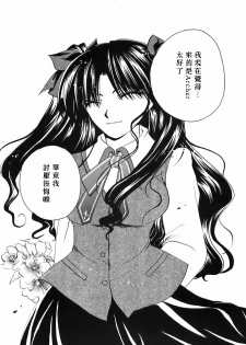 (Mimiket 10) [RED DATA BOOK (Amano Ryuuki)] Albireo (Fate stay night) [Chinese] - page 29
