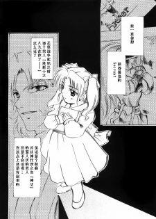(Mimiket 10) [RED DATA BOOK (Amano Ryuuki)] Albireo (Fate stay night) [Chinese] - page 15