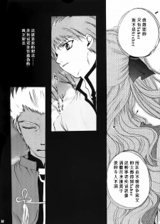 (Mimiket 10) [RED DATA BOOK (Amano Ryuuki)] Albireo (Fate stay night) [Chinese] - page 27