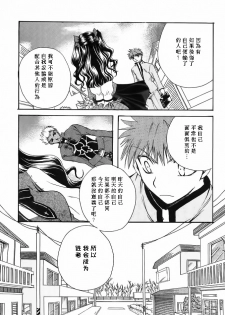 (Mimiket 10) [RED DATA BOOK (Amano Ryuuki)] Albireo (Fate stay night) [Chinese] - page 30