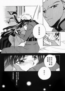 (Mimiket 10) [RED DATA BOOK (Amano Ryuuki)] Albireo (Fate stay night) [Chinese] - page 5