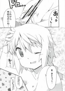 (COMIC1☆5) [Circle-FIORE (Ekakibit)] Oidemase Charlottou (IS <Infinite Stratos>) - page 26