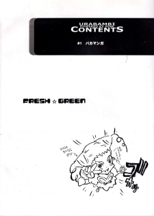 (C73) [Urakata Honpo (SINK)] Urabambi Vol. 35 -Fresh Green- (Yes! Precure 5) - page 3