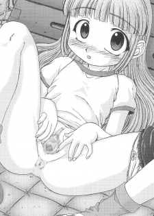 (C64) [Re-BORN (Akiba Nagi, Umemachi Shouji)] Binetsu to Vignette (Licca Vignette) - page 17