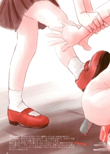 (C55) [Studio309 (Horimoto Akira)] Dynamic Lolita Library CE2.11 - page 9
