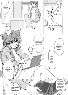 (C85) [HB (Futoo)] Wunsch (Senki Zesshou Symphogear) [English] {Halcyonvalor & Sexy Akiba Detectives} - page 18