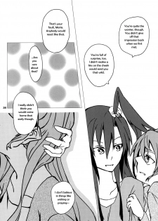 (C85) [HB (Futoo)] Wunsch (Senki Zesshou Symphogear) [English] {Halcyonvalor & Sexy Akiba Detectives} - page 38