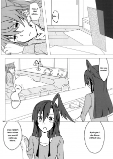 (C85) [HB (Futoo)] Wunsch (Senki Zesshou Symphogear) [English] {Halcyonvalor & Sexy Akiba Detectives} - page 34