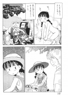 (CR21) [Sanketsushuu (Sanzui)] Azukibare (Azuki-chan) - page 30