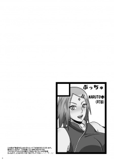 (C88) [Pucchu (Echigawa Ryuuka)] NaruSaku Gaiden (Naruto) - page 3