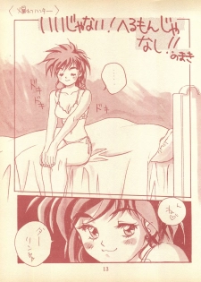 (C49) [Piyokoya (Kobayashi Hiyoko)] Piyoko no Pi Zoukan 1 - Bakuretsu! Evangeli Hunter SOS no Aoi Sora (Various) - page 12