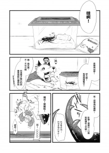 (C89) [02 (Harasaki)] Shinmyoumaru VS Caucasus Ookabuto (Touhou Project) [Chinese] [沒有漢化] - page 3