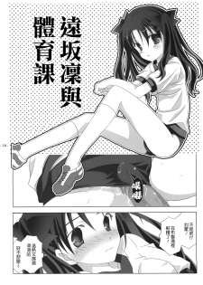 (SC23) [Tenjikuya (Mochizuki Nana)] Another Girl I (Fate/stay night) - page 16