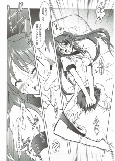 (C68) [PLUM (Kanna)] Abareneko no Shitsukekata 2 (ToHeart2) - page 13