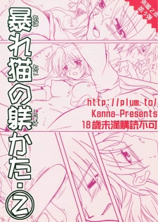 (C68) [PLUM (Kanna)] Abareneko no Shitsukekata 2 (ToHeart2) - page 26