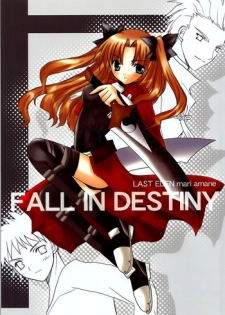 (CR36) [Last Eden (Amane Mari)] Fall in Destiny (Fate/stay night)