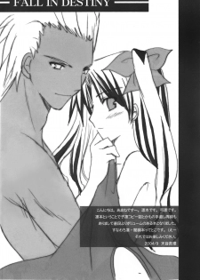 (CR36) [Last Eden (Amane Mari)] Fall in Destiny (Fate/stay night) - page 3
