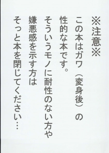 [Pla.ce.bo 2nd (SOR)] GAWAERO (Kaizoku Sentai Gokaiger) - page 3