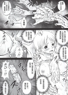 (C87) [Mikenekodou (Muten)] Namikan (One Piece) [Chinese] [八十万禁书教头个人汉化] - page 11