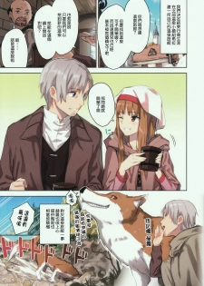 (C89) [Ajisaidenden (Kawakami Rokkaku, Takanashi Rei)] Wacchi to Nyohhira Bon FULL COLOR (Spice and Wolf) [Chinese] [无毒汉化组] [Decensored] - page 7