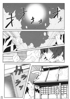 (Reitaisai 13) [Hato Suppressor (Hato no Suisou)] Karada dake no Kankei desu (Touhou Project) - page 2