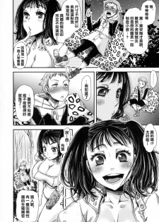 (C87) [Hanairogaeru (Kitsuneko Anko)] Diane's Question (Nanatsu no Taizai) [Chinese] [沒有漢化] - page 5