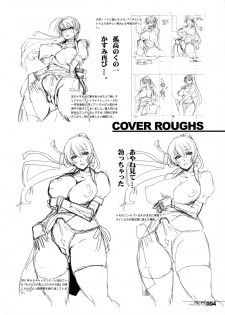 (Futaket 12) [HGH (HG Chagawa)] HGUC#06 -KUNOICHI TRIP FILE-(Kari) (Dead or Alive) - page 4