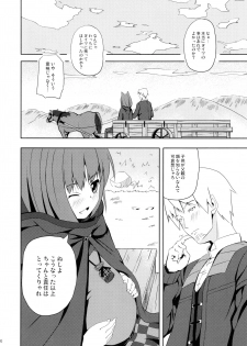 (Mimiket 18) [Senpenbankashiki (DATE)] Bitter Apple (Spice and Wolf) - page 20