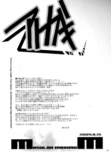 (C66) [MASULAO MAXIMUM (Kazekawa Nagi)] Holiday in the Heat Exhaustion (Fate/stay night) - page 28