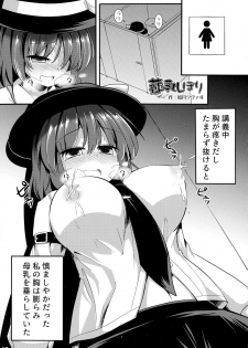 (Reitaisai 13) [Nijusei (Various)] Touhou Sakunyuu Goudoushi Demo Gensoukyou no Musume no Sakunyuu nara Chotto Mitai kamo... (Touhou Project) - page 13