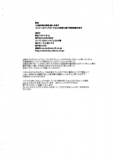 (SHT2015 Haru) [Neko Irazu (Hinoki)] Kotatsu Neko (Senki Zesshou Symphogear) [Incomplete] - page 12